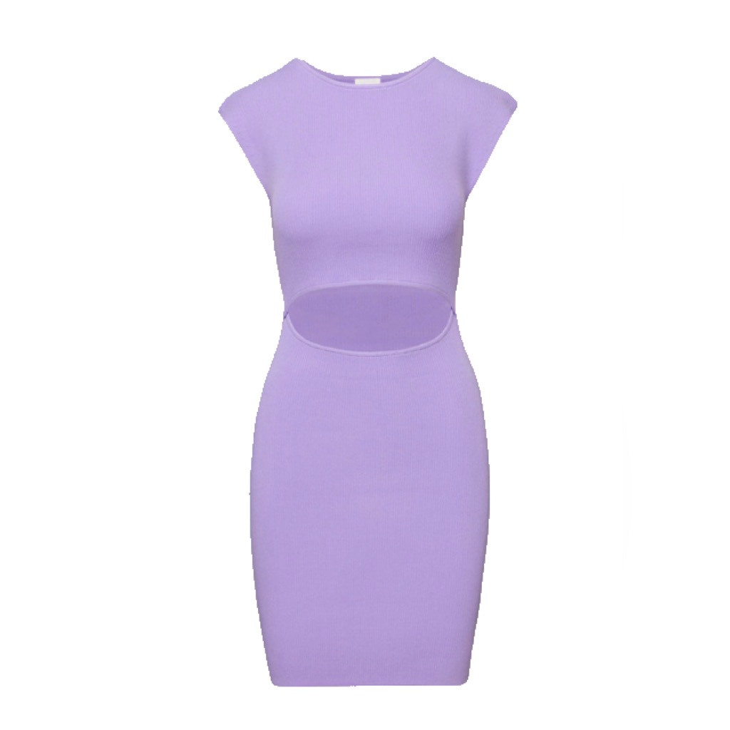 Aritzia Wilfred Cut Out Mini Dress In Lavindin Size M